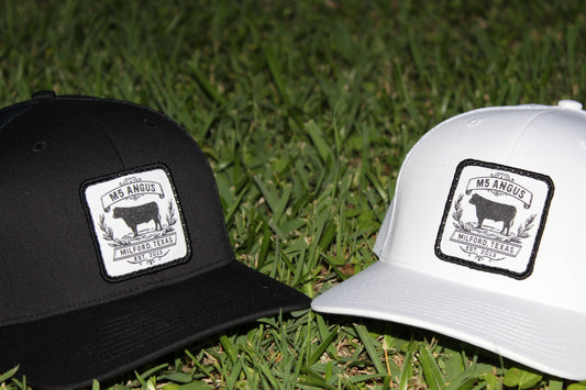 M5 Patch Hat